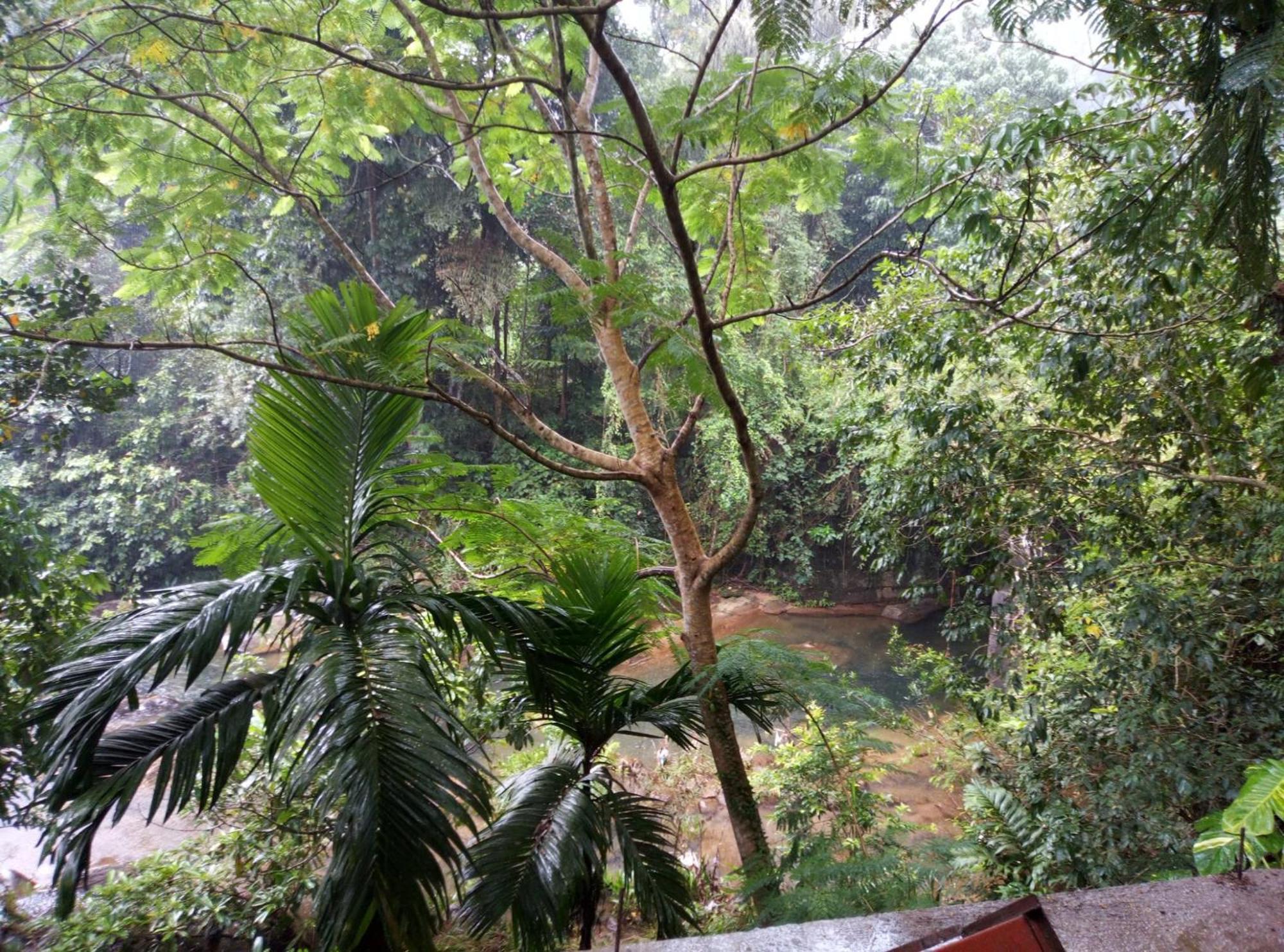 Old Bridge Riverside Hotel Kitulgala Exterior photo