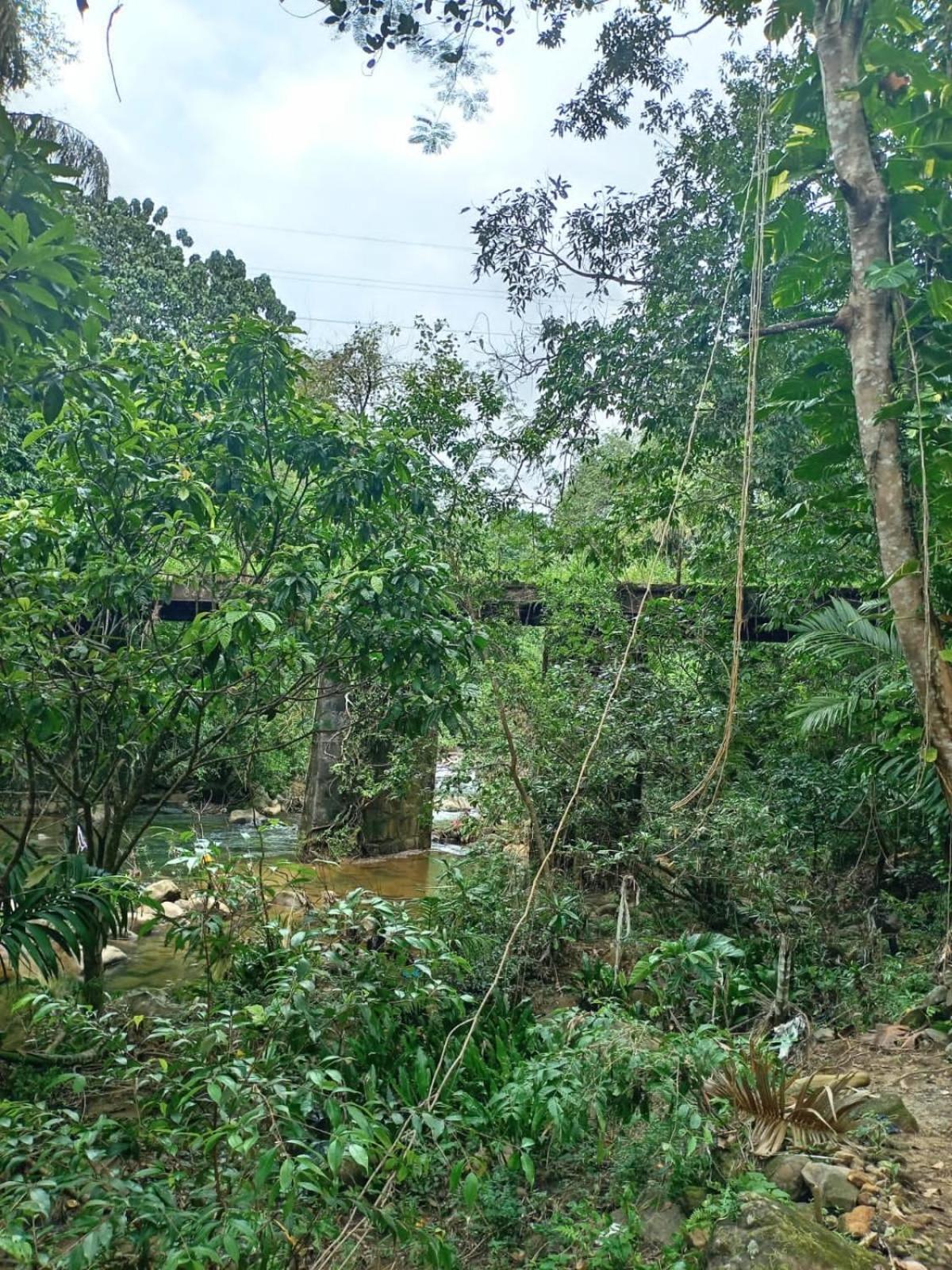 Old Bridge Riverside Hotel Kitulgala Exterior photo