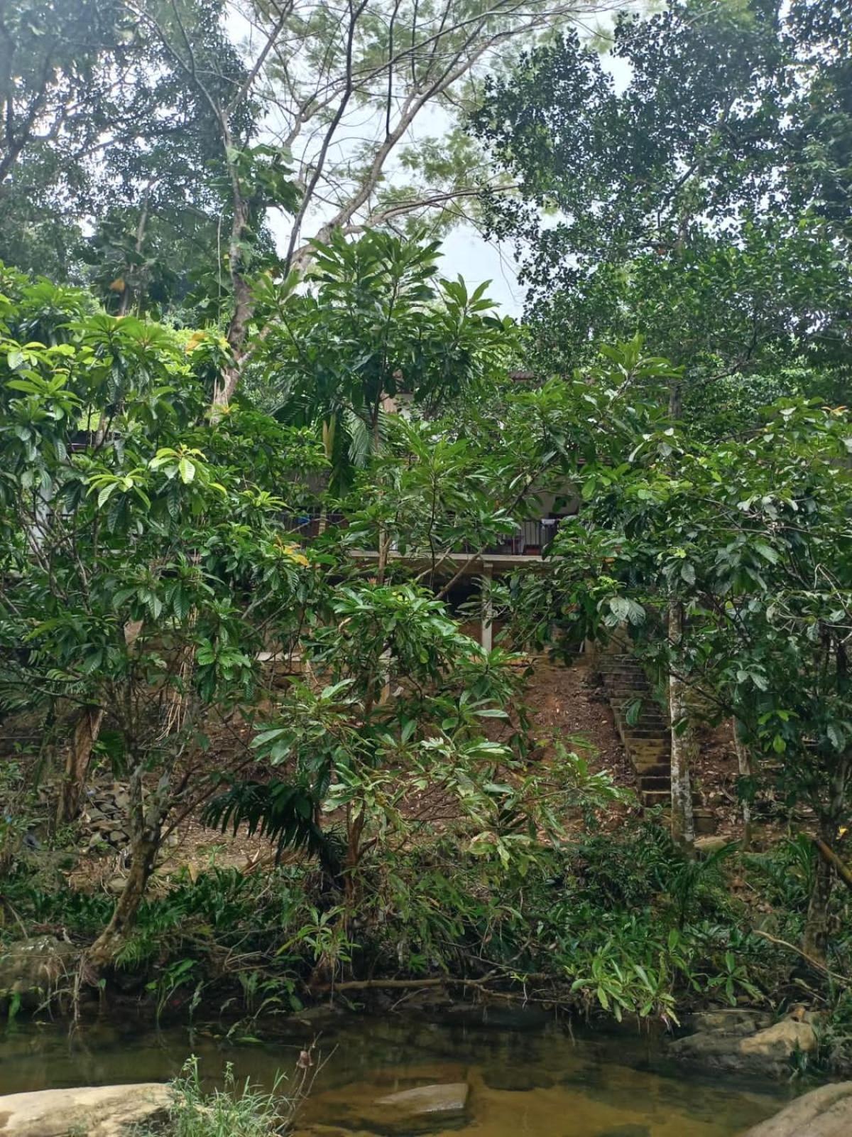 Old Bridge Riverside Hotel Kitulgala Exterior photo